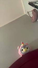 Sdenisse21 webcam model stream image