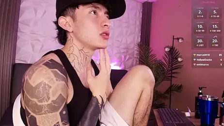 troy_rouge webcam model stream image