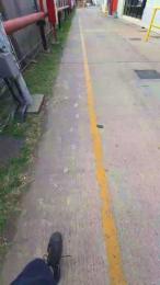 Rokero2026 webcam model stream image