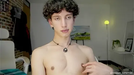 boream webcam model stream image