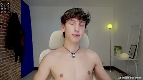 boream webcam model stream image