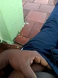 dolphiinn webcam model stream image