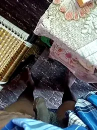 dolphiinn webcam model stream image