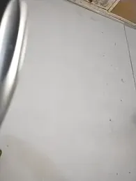 BD_228 webcam model stream image