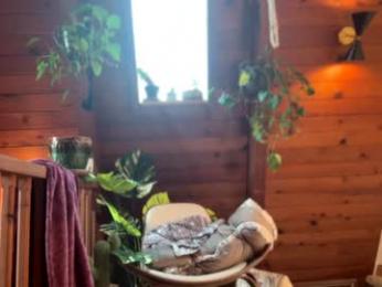 emersoncane webcam model stream image