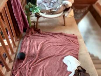 emersoncane webcam model stream image