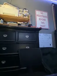 decentdong webcam model stream image