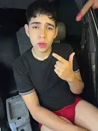 Johan_fire webcam model stream image