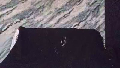 TonySpliff webcam model stream image