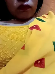 Simple_sover1 webcam model stream image