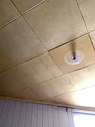 Rowing199456 webcam model stream image