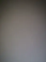 Pnice webcam model stream image