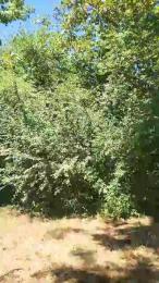 POLENLAIR webcam cam4 model stream image