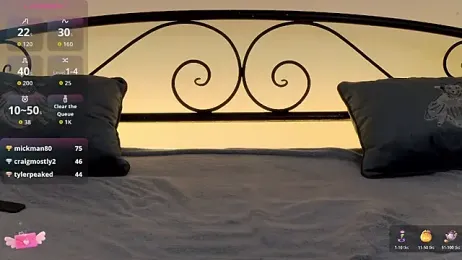 KarnetJ webcam model stream image