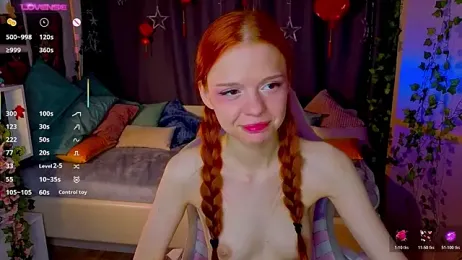 WeiSusi webcam model stream image