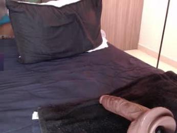 diegoarctic webcam model stream image