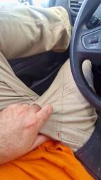 Polpex webcam model stream image