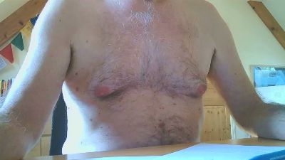 pilsanet webcam model stream image