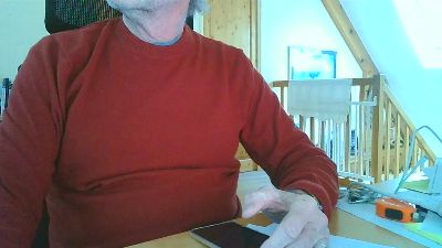 pilsanet webcam model stream image