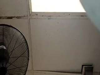 mrshyboy32 webcam camsoda model stream image