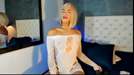 Salome_cor webcam model stream image