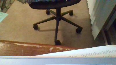 Silkworm_Piper webcam model stream image