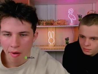 veldi_to webcam model stream image