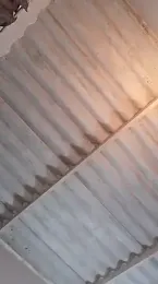 TheXEbonyxxx webcam model stream image