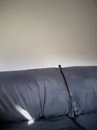 PedroKriocaX webcam model stream image