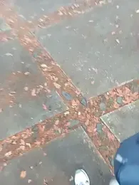 andresj22hot webcam model stream image