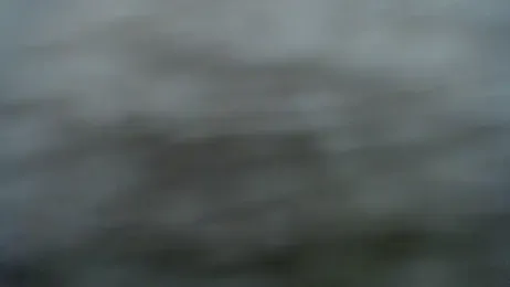 DAPHNE_doll webcam model stream image