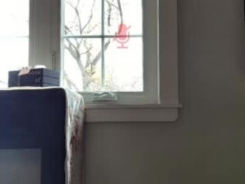 3totangox webcam model stream image