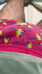 andres5643 webcam model stream image