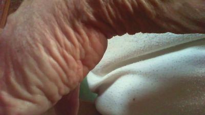 Zevioo77 webcam cam4 model stream image