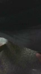 plutone26 webcam model stream image