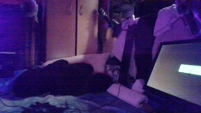 physicssexpert webcam model stream image