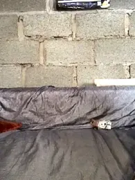 InhlalaibaBhebha webcam model stream image