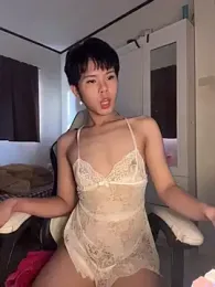 Plaxtique webcam model stream image