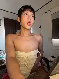 Plaxtique webcam model stream image