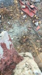 fernanditoho webcam model stream image