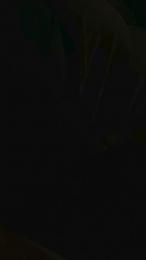 Lobovk82 webcam model stream image