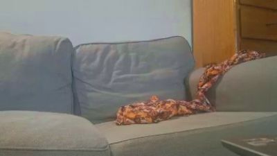 gavroche91000 webcam model stream image