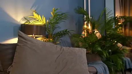 _keeti_ webcam model stream image