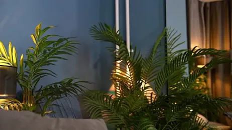 _keeti_ webcam model stream image