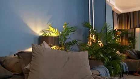 _keeti_ webcam model stream image