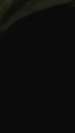 Pipe1728 webcam model stream image