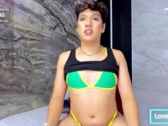 ellis_brown webcam model stream image