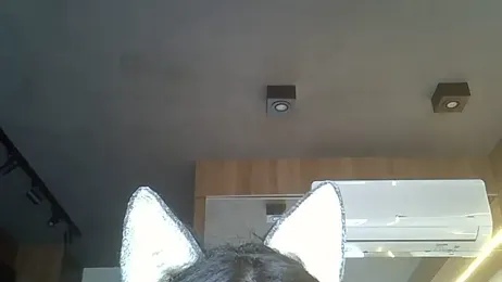 SkinnyKitten webcam model stream image