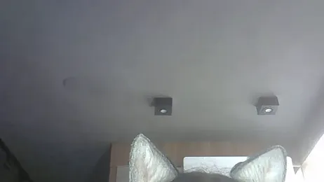 SkinnyKitten webcam model stream image