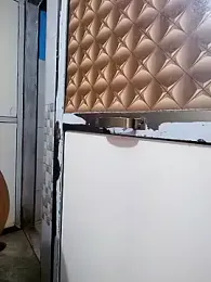 PayalSharmahot143 webcam model stream image